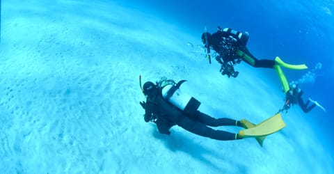 ダイバーへの入口Ｃカード取得コース